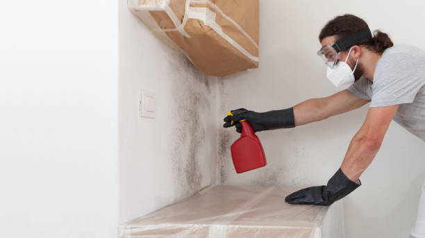 Professional Mold Removal technician working in Newton, NJ