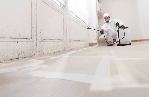 24/7 Emergency Mold Removal experts in Newton, NJ