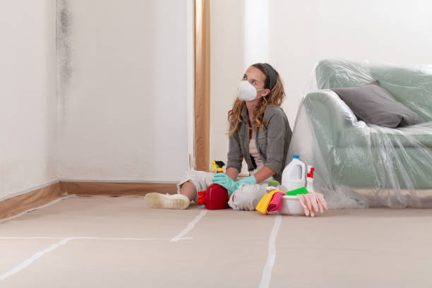 Reliable Mold Removal contractor in Newton, NJ by 24 Hour Mold Removal